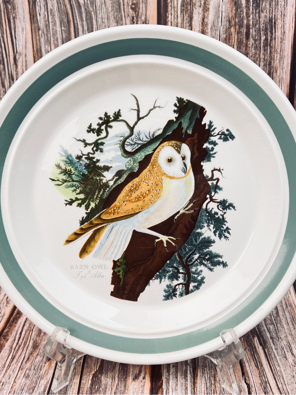 Barn Owl Dinner Plate Portmeirion Birds of Britain Vintage
